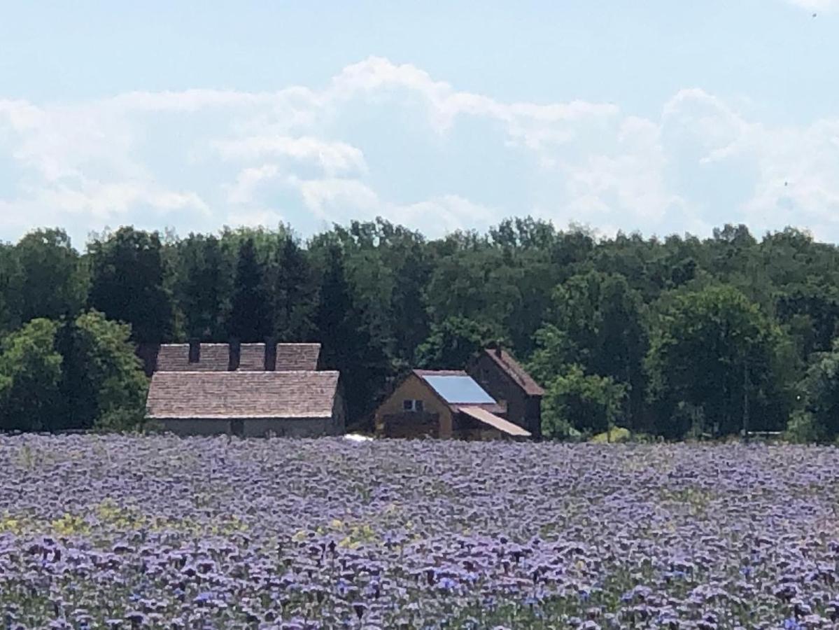 Ferienhof Olbasee Kleinsaubernitz Buitenkant foto