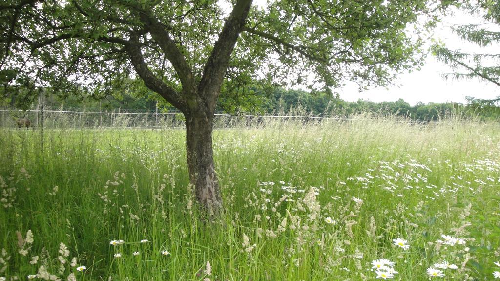 Ferienhof Olbasee Kleinsaubernitz Buitenkant foto