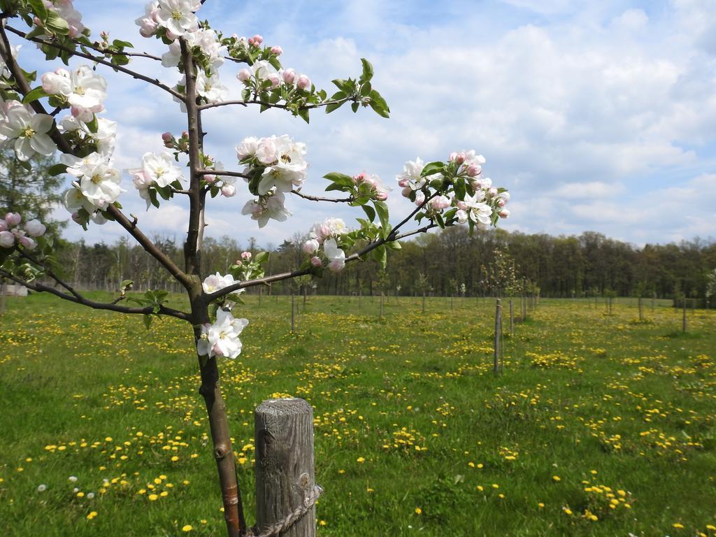 Ferienhof Olbasee Kleinsaubernitz Buitenkant foto